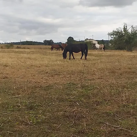 Apartamento Cadre Champetre *